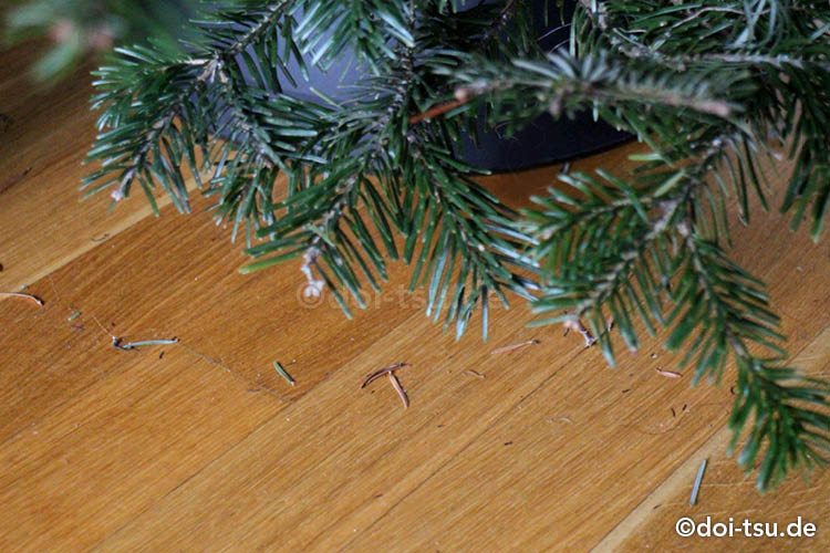 ドイツ発祥 クリスマスツリーを飾ろう もみの木の種類 入手方法などドイツのクリスマスツリーを在住者が紹介