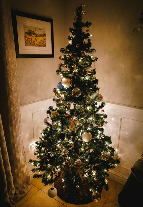 ドイツ発祥 クリスマスツリーを飾ろう もみの木の種類 入手方法などドイツのクリスマスツリーを在住者が紹介