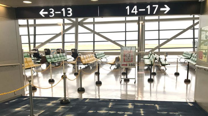 関西空港での日本入国・検疫の体験談を海外在住者が紹介【コロナ禍の帰国】