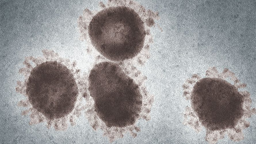 ドイツでの新型コロナウイルスの現状を現地から発信【最新情報更新中】ドイツの感染者数・ワクチン接種状況など